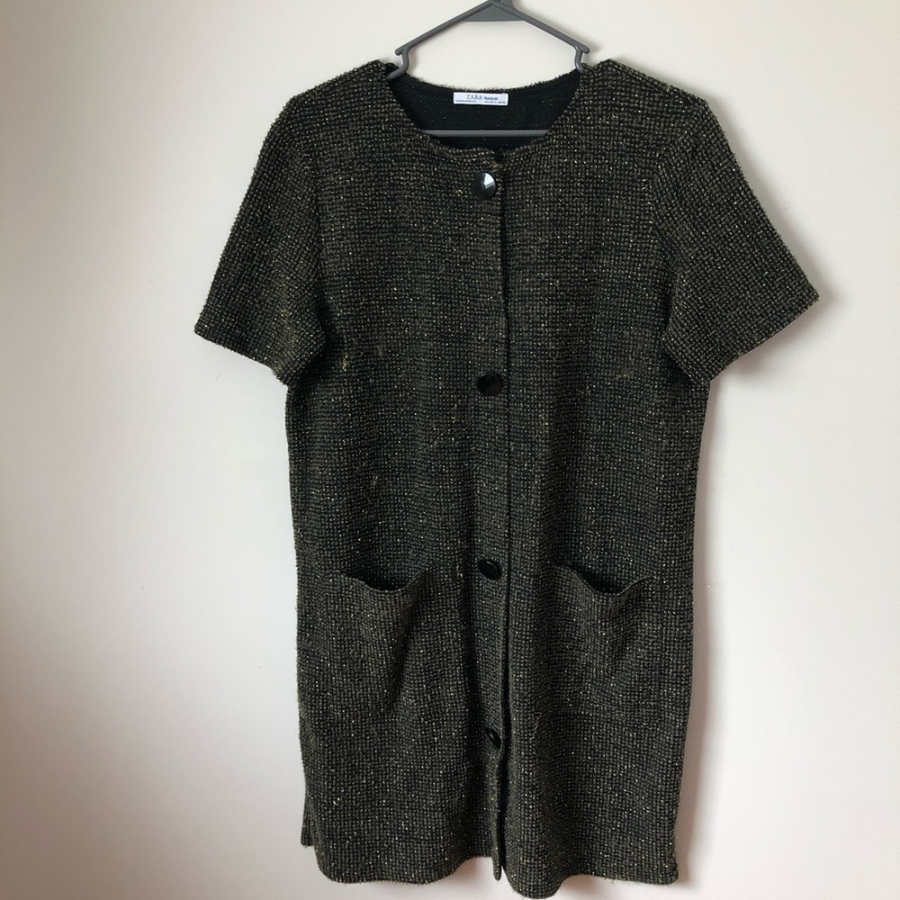 Zara dress